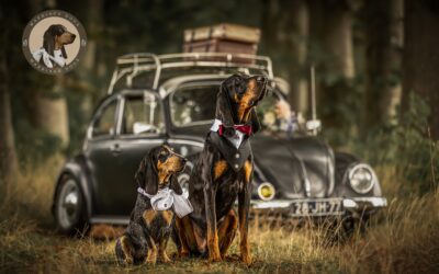 Waarom jouw bruiloft pas écht compleet is met je huisdier – Gastblog Marriage Dogs